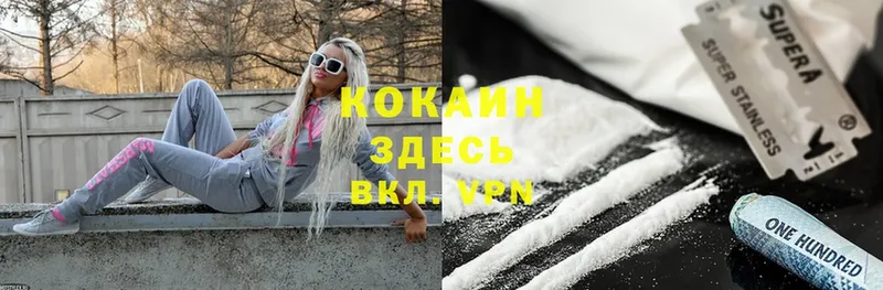 купить закладку  Ермолино  Cocaine Fish Scale 